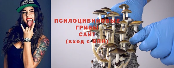 мяу мяу мука Алзамай