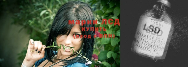 мяу мяу мука Алзамай