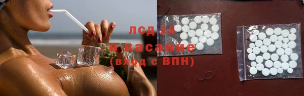 мяу мяу мука Алзамай