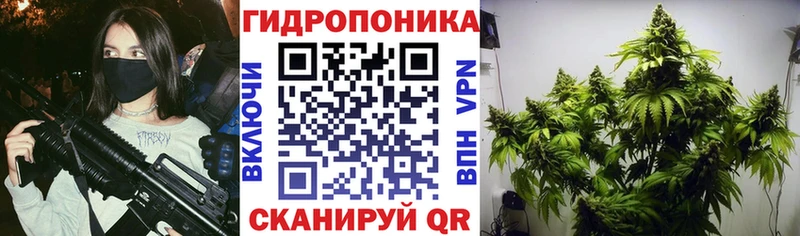 Марихуана план Лаишево